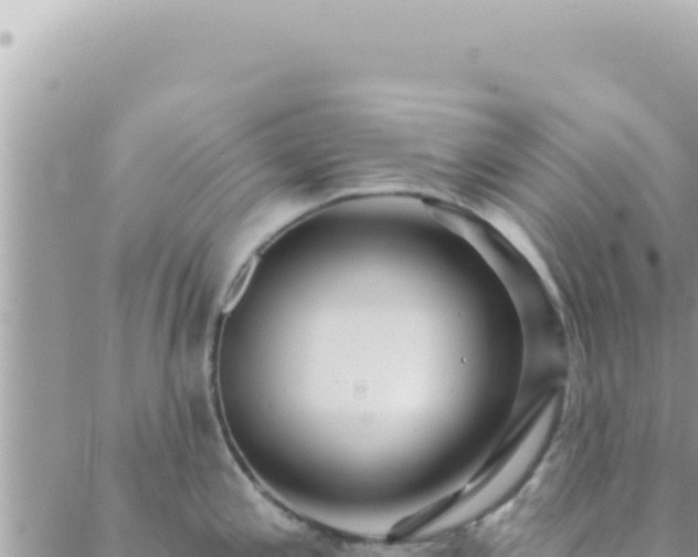 X0000088611197200706011220