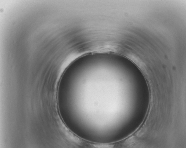 X0000088611200200706011220