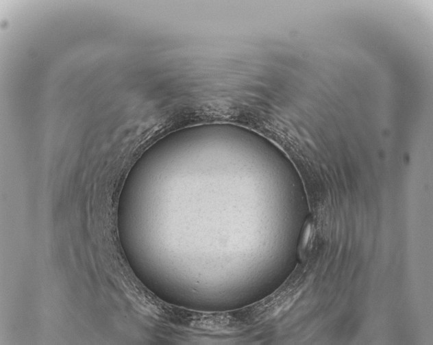 X0000088611201200706011219