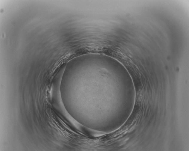 X0000088611202200706011219