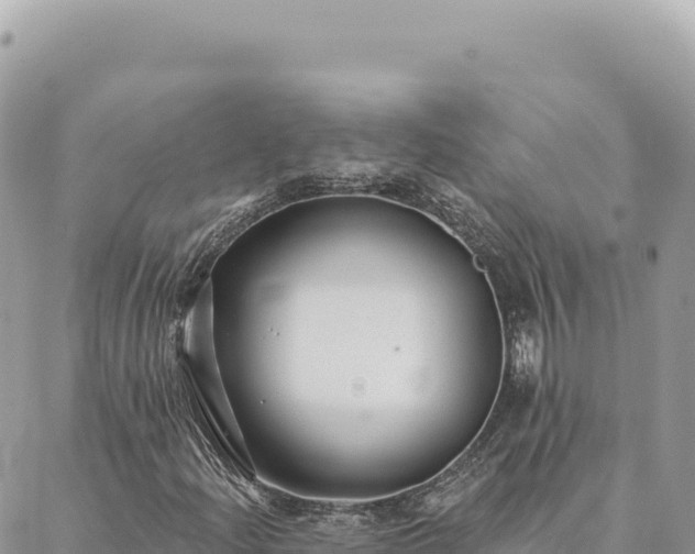 X0000088611204200706011219