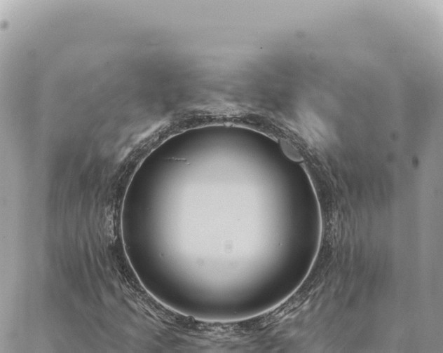 X0000088611205200706011219