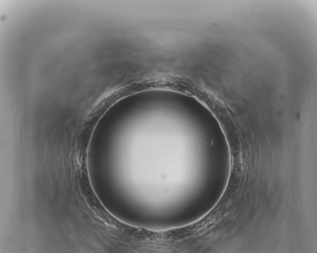 X0000088611206200706011219