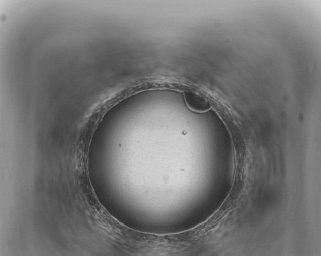 X0000088611207200706011219