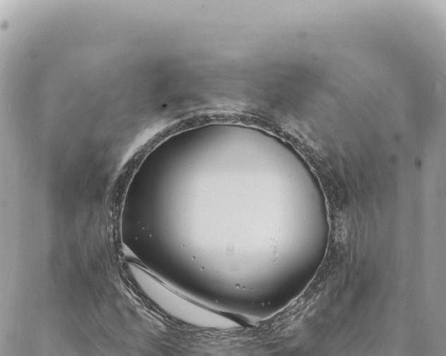 X0000088611208200706011219