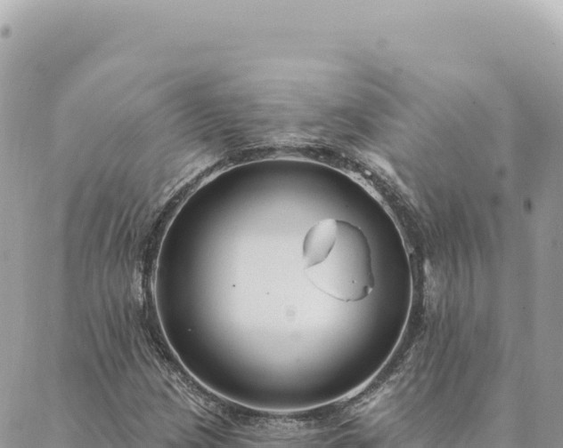 X0000088611209200706011219