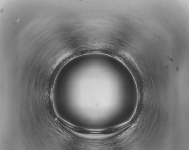 X0000088611210200706011219