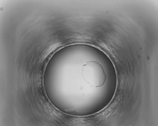 X0000088611211200706011219