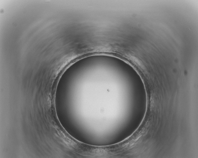 X0000088611212200706011219