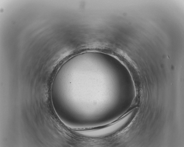 X0000088611213200706011219