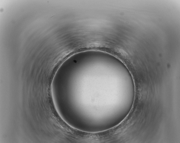 X0000088611217200706011219