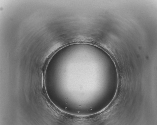 X0000088611219200706011219