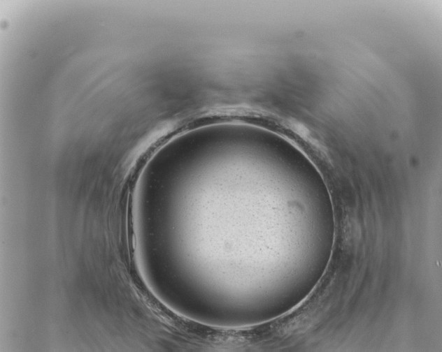 X0000088611221200706011219