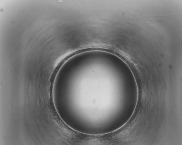 X0000088611222200706011219