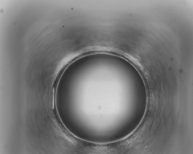 X0000088611223200706011219