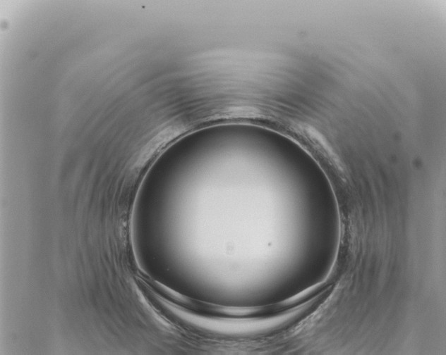 X0000088611225200706011219