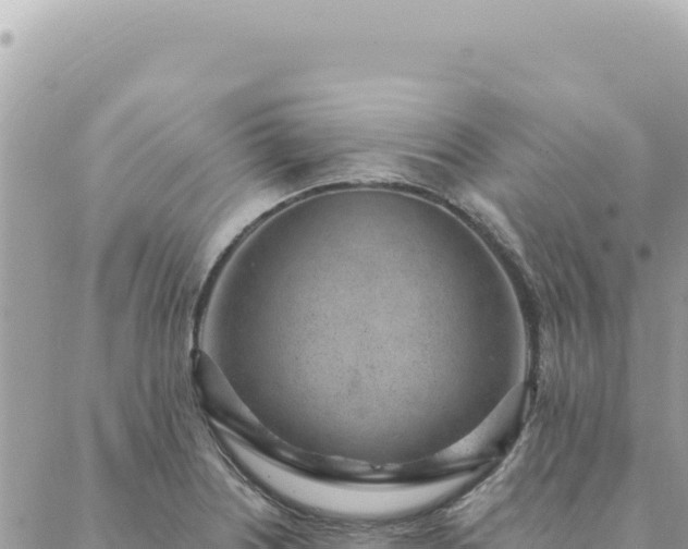 X0000088611226200706011219