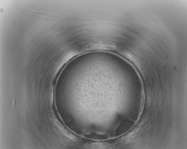 X0000088611227200706011219