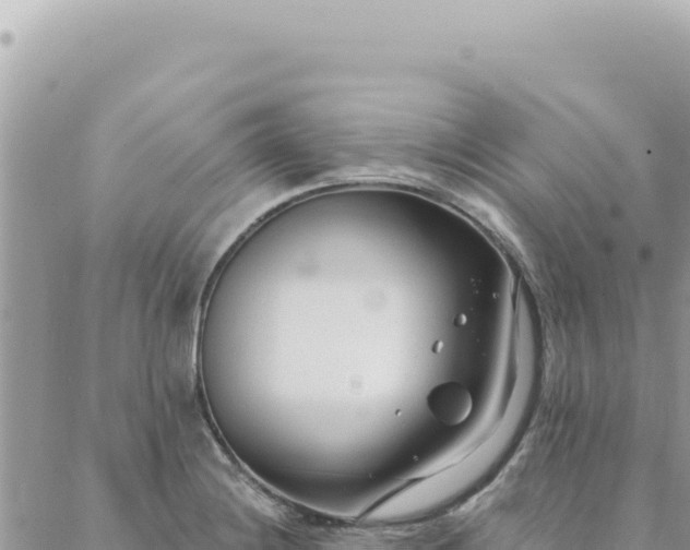 X0000088611228200706011219