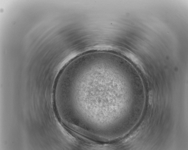 X0000088611229200706011219