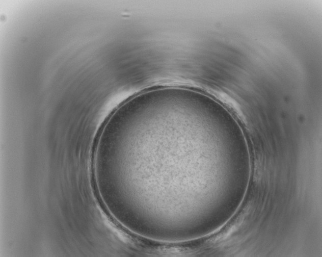 X0000088611231200706011219