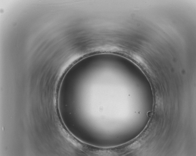 X0000088611232200706011219