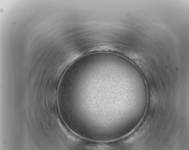 X0000088611233200706011219