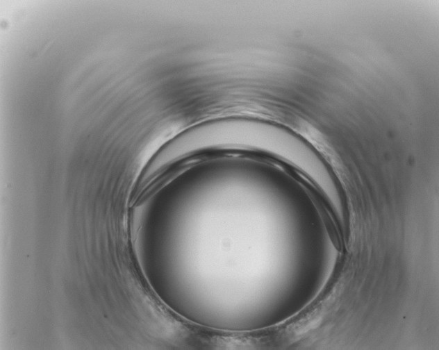 X0000088611234200706011219