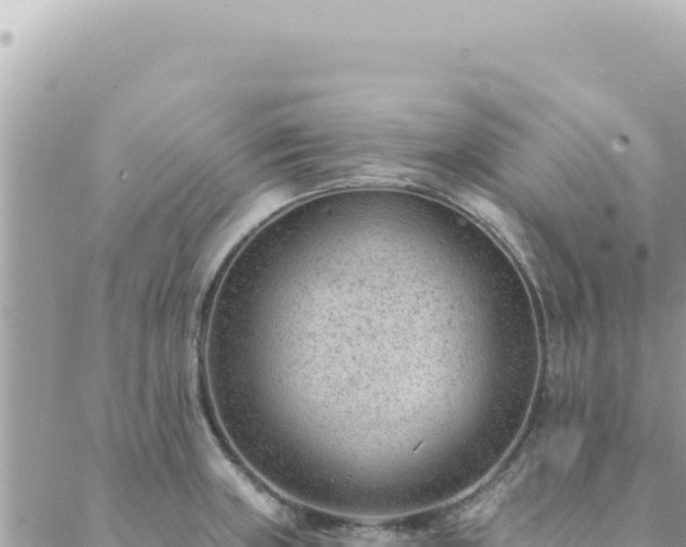 X0000088611235200706011219