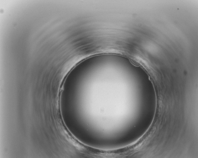 X0000088611236200706011219