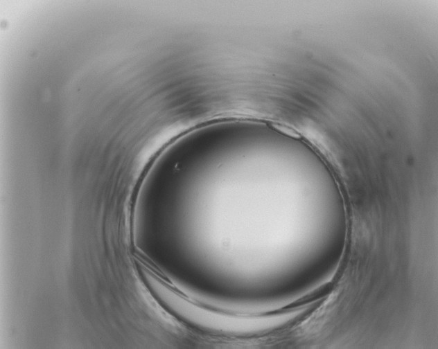 X0000088611238200706011219