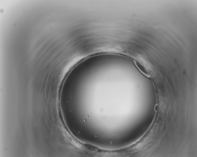 X0000088611240200706011219