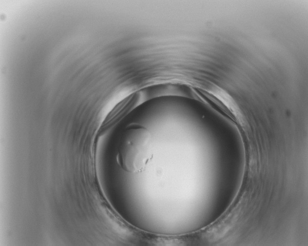 X0000088611242200706011219