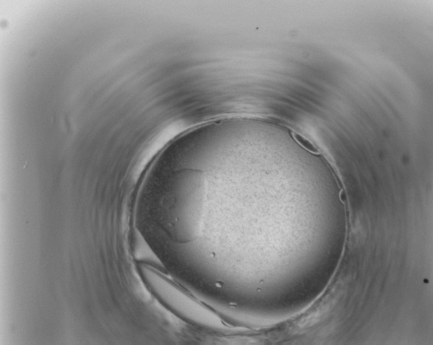 X0000088611243200706011219