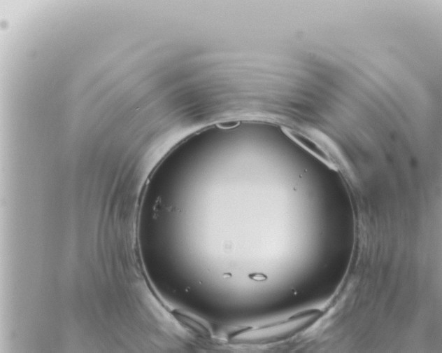 X0000088611244200706011219