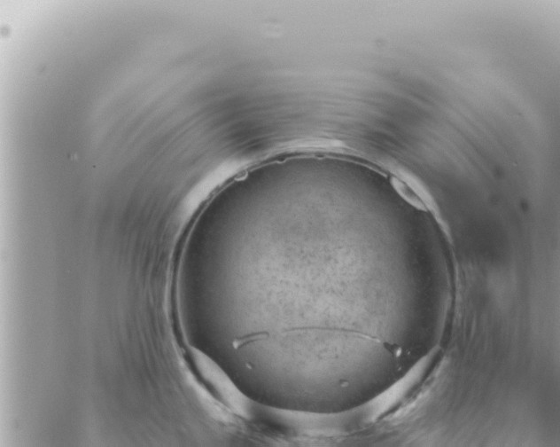 X0000088611245200706011219