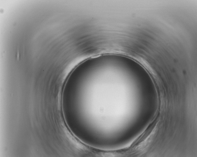 X0000088611246200706011220