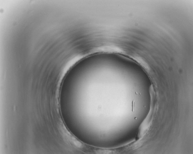 X0000088611248200706011220