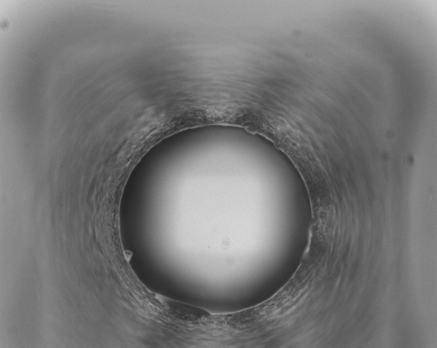 X0000088611249200706011219