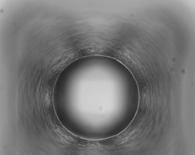 X0000088611250200706011219