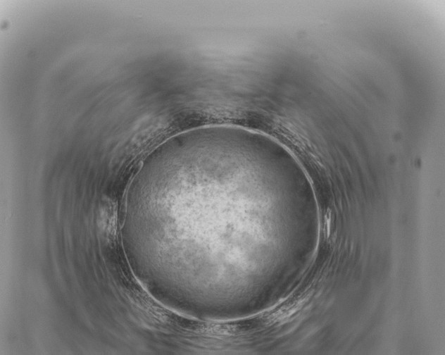 X0000088611251200706011219