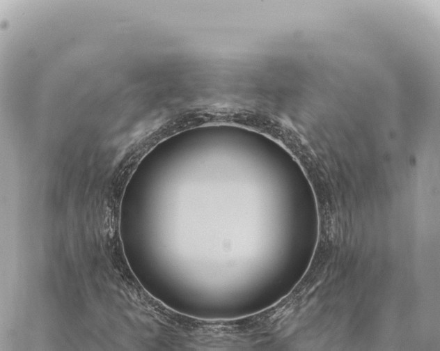 X0000088611253200706011219