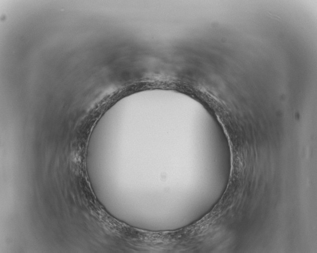 X0000088611254200706011219