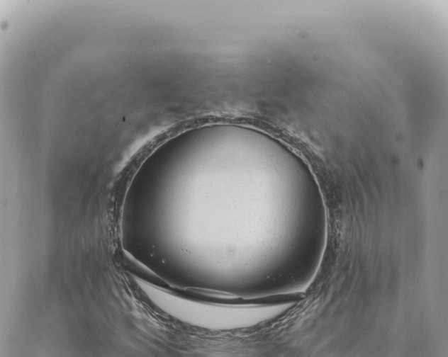 X0000088611256200706011219