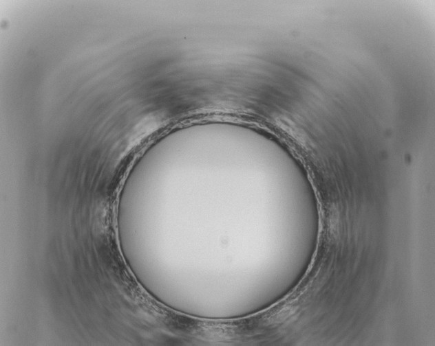 X0000088611258200706011219