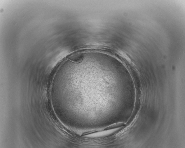 X0000088611259200706011219