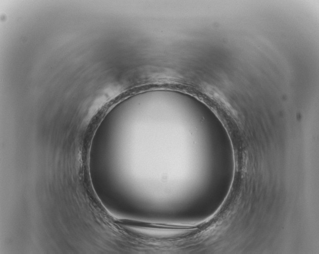 X0000088611261200706011219