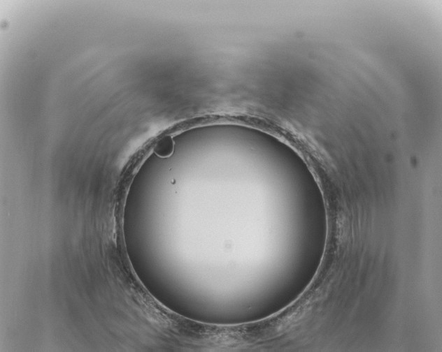 X0000088611262200706011219