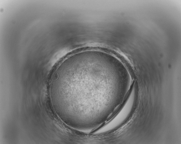 X0000088611263200706011219