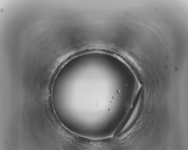 X0000088611264200706011219